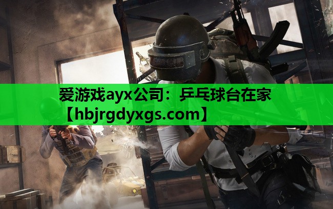 爱游戏ayx公司：乒乓球台在家