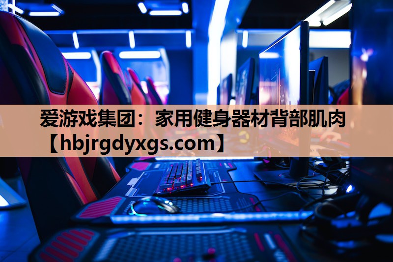 爱游戏集团：家用健身器材背部肌肉
