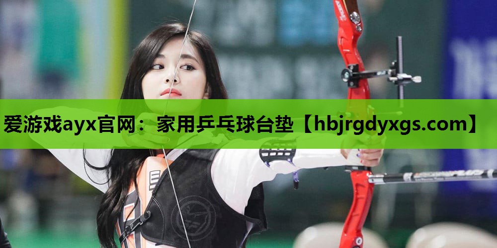 爱游戏ayx官网：家用乒乓球台垫