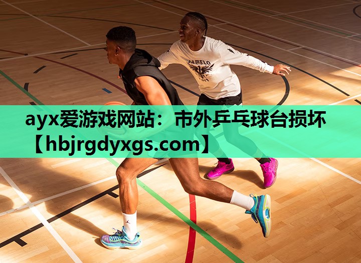 ayx爱游戏网站：市外乒乓球台损坏