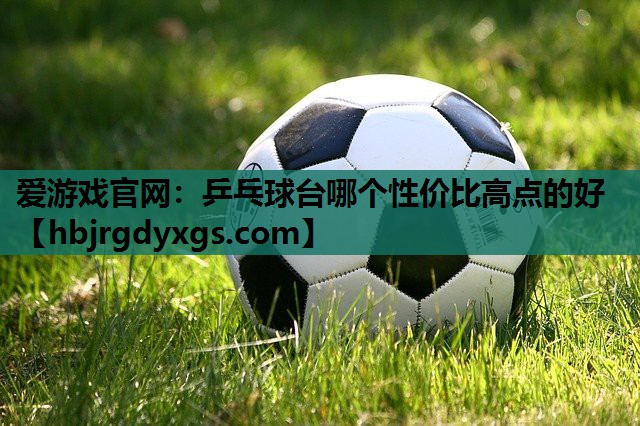 爱游戏官网：乒乓球台哪个性价比高点的好