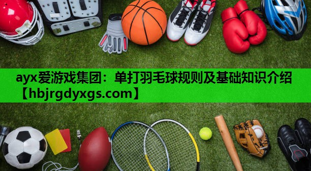 ayx爱游戏集团：单打羽毛球规则及基础知识介绍