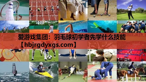 爱游戏集团：羽毛球初学者先学什么技能