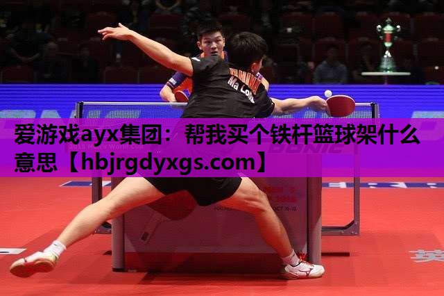 爱游戏ayx集团：帮我买个铁杆篮球架什么意思