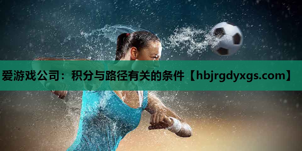 爱游戏公司：积分与路径有关的条件
