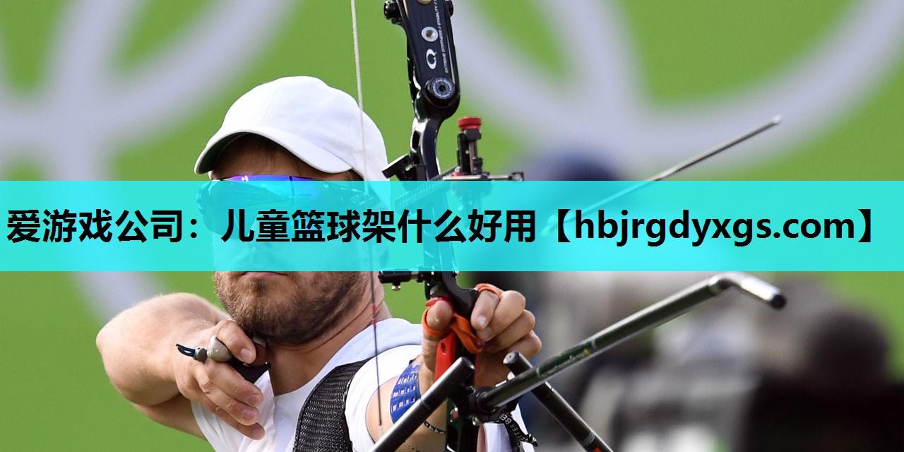 爱游戏公司：儿童篮球架什么好用