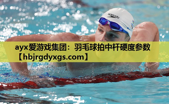 ayx爱游戏集团：羽毛球拍中杆硬度参数