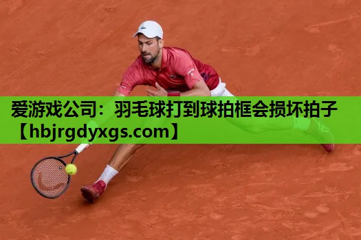 爱游戏公司：羽毛球打到球拍框会损坏拍子