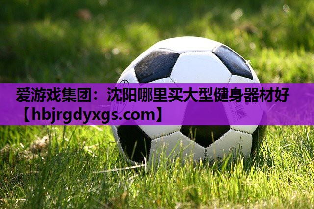 爱游戏集团：沈阳哪里买大型健身器材好