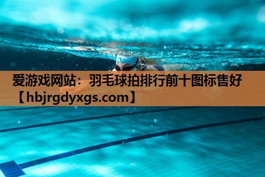 爱游戏网站：羽毛球拍排行前十图标售好
