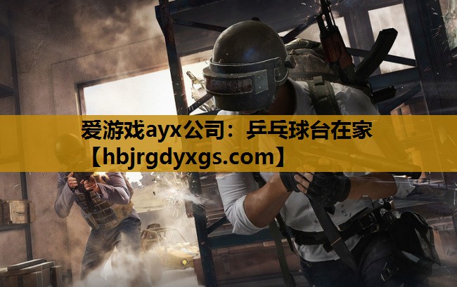 乒乓球台在家