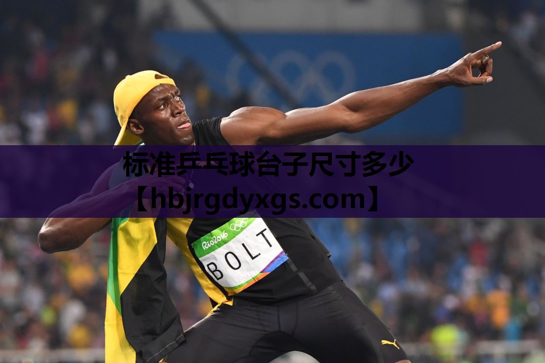 标准乒乓球台子尺寸多少