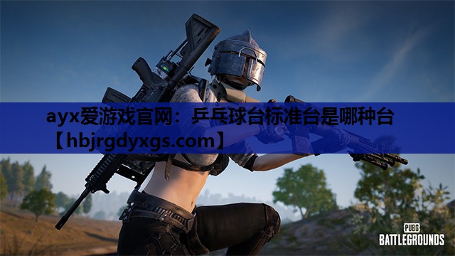 乒乓球台标准台是哪种台