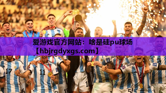 啥是硅pu球场