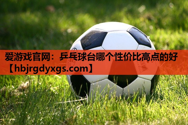 乒乓球台哪个性价比高点的好