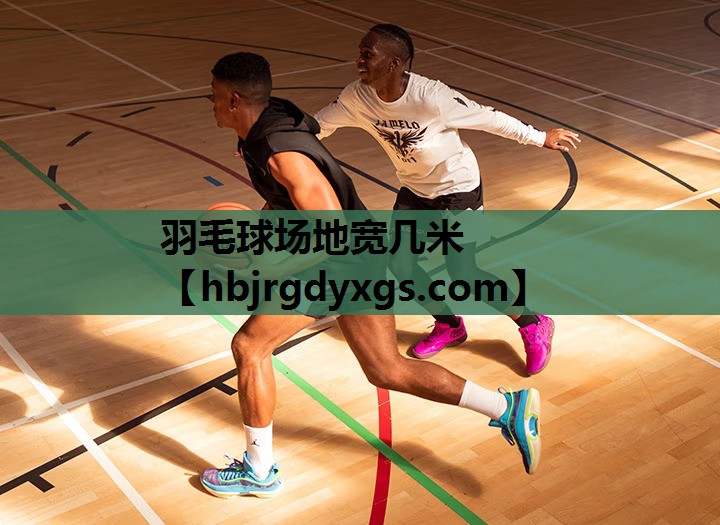 羽毛球场地宽几米