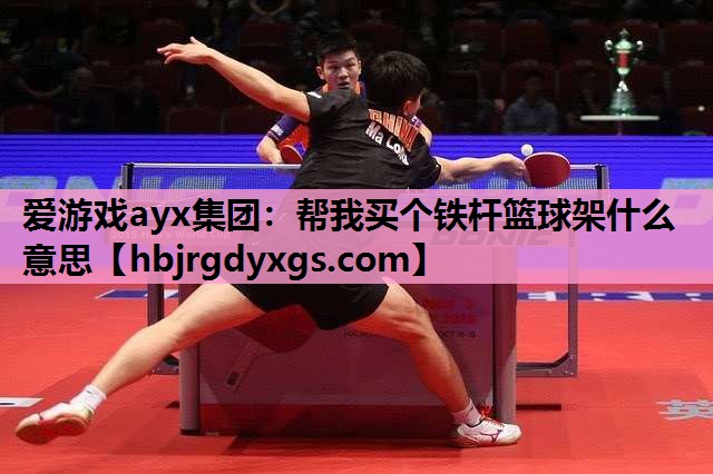 帮我买个铁杆篮球架什么意思