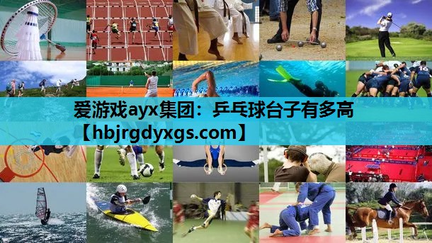 乒乓球台子有多高