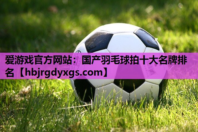 国产羽毛球拍十大名牌排名