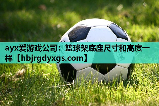 篮球架底座尺寸和高度一样