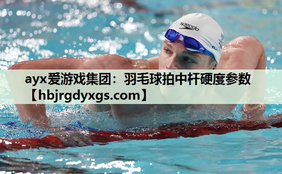 羽毛球拍中杆硬度参数