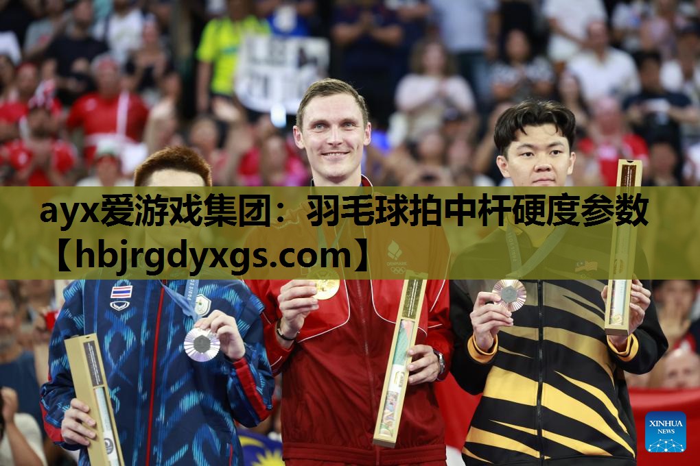 羽毛球拍中杆硬度参数