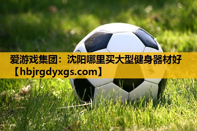 沈阳哪里买大型健身器材好