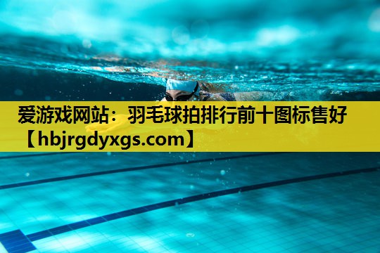 羽毛球拍排行前十图标售好