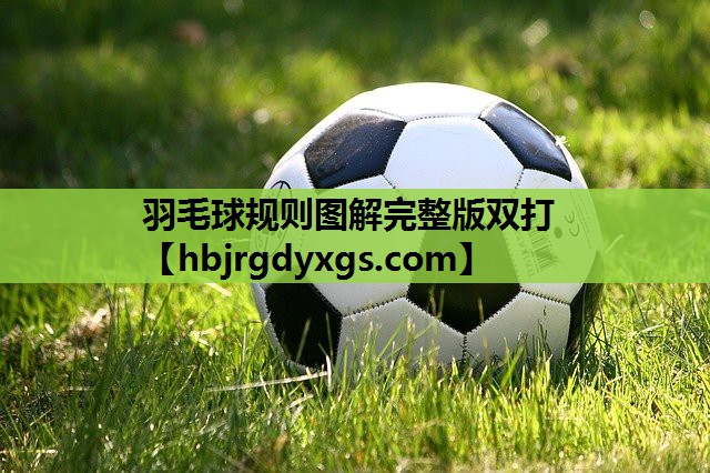 羽毛球规则图解完整版双打