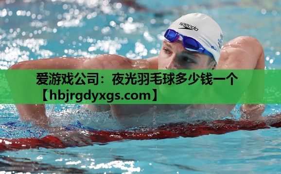 夜光羽毛球多少钱一个
